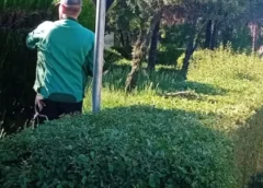 DISPONIBILIZĂRI ÎN INSTITUȚII