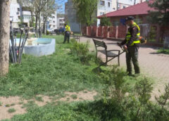 SE ÎNGRIJEȘTE IARBA
