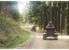 FĂRĂ ,,CAI PUTERE”, PE DRUMURILE FORESTIERE