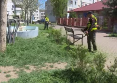 MOBILIZAȚI LA TUNS IARBA
