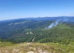INCENDII DE AMPLOARE