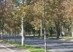 LA LOC COMANDA