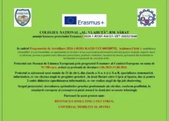 STAGII DE PREGĂTIRE ÎN INFORMATICĂ