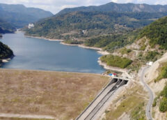 PROIECT STRATEGIC BUN, DAR CU DICHIS  