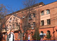 PROTECȚIA COPILULUI, ,,CUIUL LUI PEPELEA”