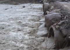 SATE IZOLATE DE PLOI