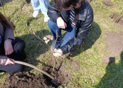 PROMOVEAZĂ EDUCAȚIA ECOLOGICĂ
