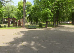 INVESTIȚII ÎN SPAȚII VERZI