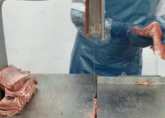 NEREGULI GRAVE GĂSITE DE OPC ÎN MĂCELĂRII
