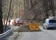 TRASEU DE OCOLIRE… PRIN PĂDURE