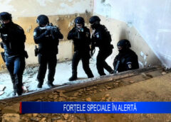 FORȚELE SPECIALE ÎN ALERTĂ