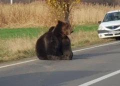 URS, LA CÂMPIE